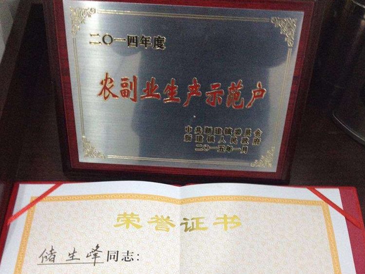 农副业生产示范户