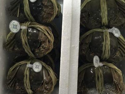 生锋生态大闸蟹