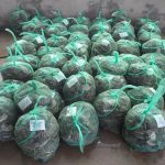 生锋生态大闸蟹