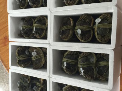 生锋生态大闸蟹