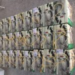 生锋生态大闸蟹